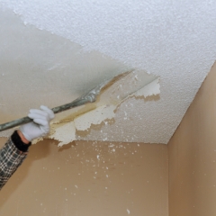 professional painters