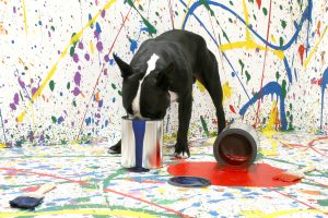 Dog playing with cans of paint